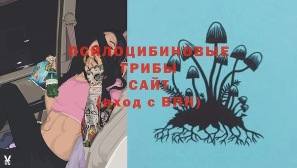 бошки Бронницы