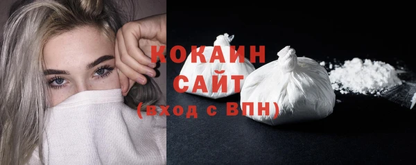 бошки Бронницы
