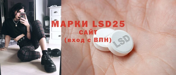 бошки Бронницы