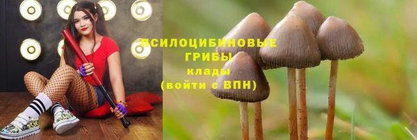 бошки Бронницы