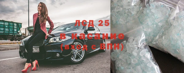 трава Бородино
