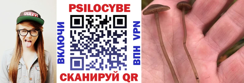 Псилоцибиновые грибы Psilocybe  Челябинск 